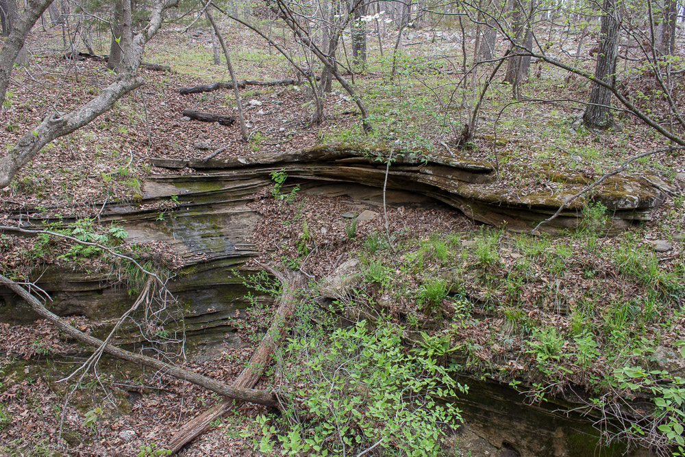 Quarry Trail & Ha Ha Tonka Castle