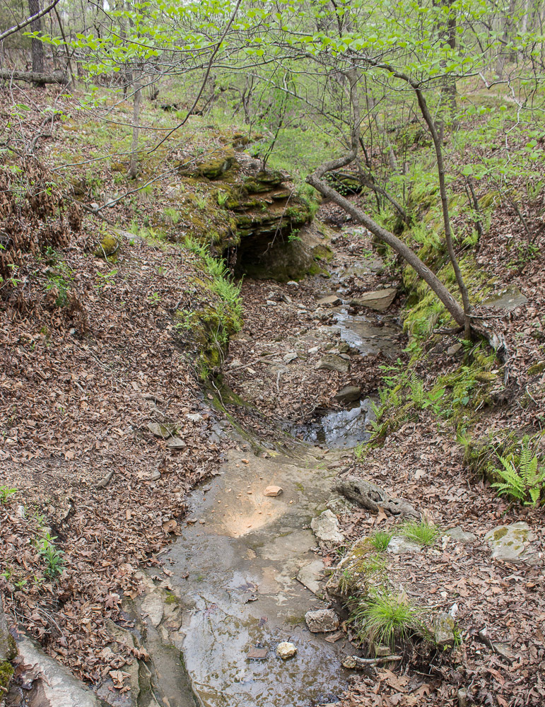 Quarry Trail & Ha Ha Tonka Castle